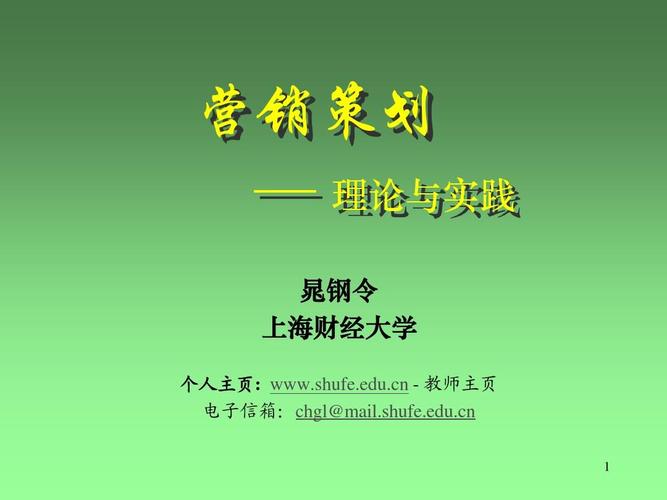 营销策划 从战略到执行的完整PPT框架指南